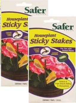 Effective Houseplant Sticky Stakes Insect Traps, 2 Pack