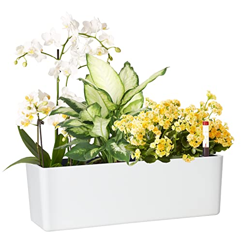 GardenBasix Self Watering Planter Pots