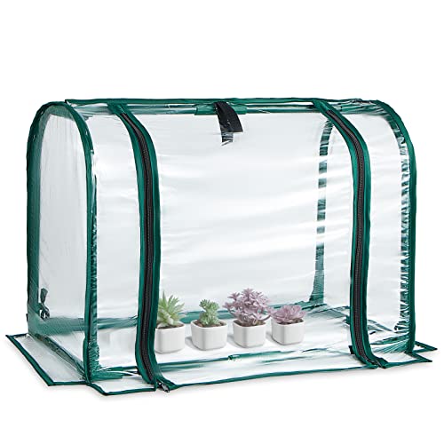 Mini Tabletop Garden Greenhouse