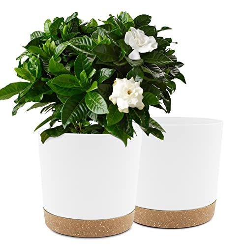 QCQHDU Plant Pots Set 10 inch