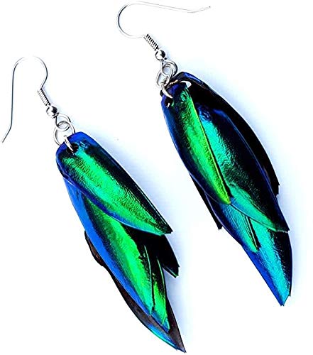 Real Beetle Wing Earrings