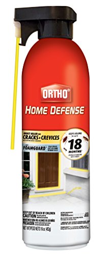 Ortho Home Defense Insect Killer for Cracks & Crevices - Spray Foam