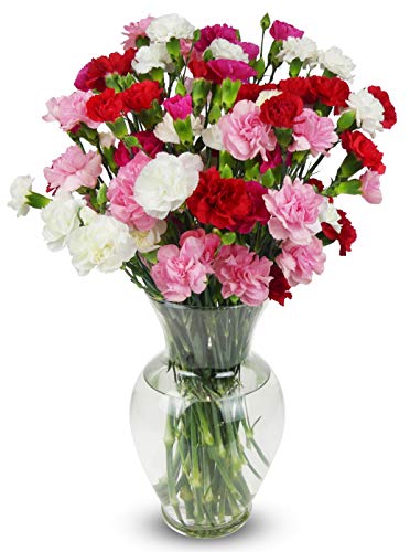 Benchmark Bouquets Rainbow Mini Carnations
