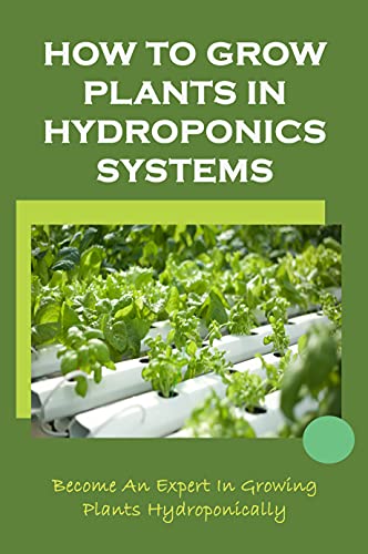 Grow Plants in Hydroponics: Expert Guide with Ebb & Flow Advantages