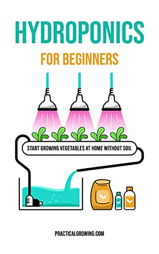 Beginner's Guide to Hydroponics: Growing Vegetables Without Soil