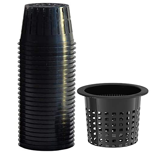 Tectsia 6 Inch Net Cups (12 Pack)