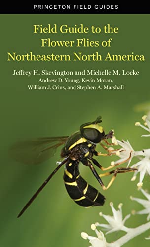 Comprehensive Field Guide to Flower Flies of Northeastern North America
