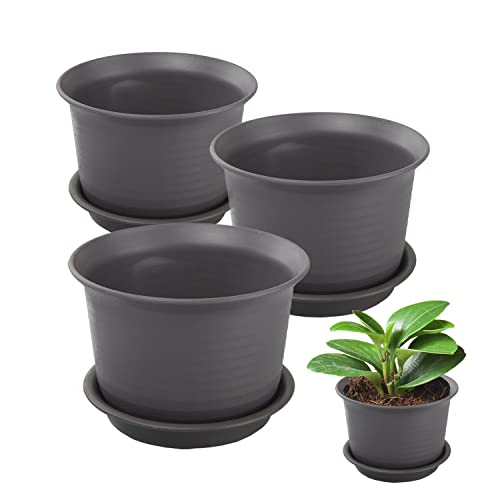 Premium Flower Pots for Indoor Plants