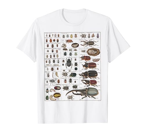 Insects Collection Vintage Chart Entomology T-Shirt