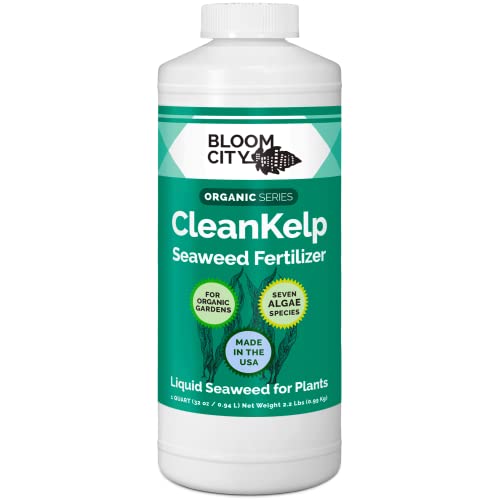 Liquid Kelp Fertilizer - Concentrated Seaweed Extract