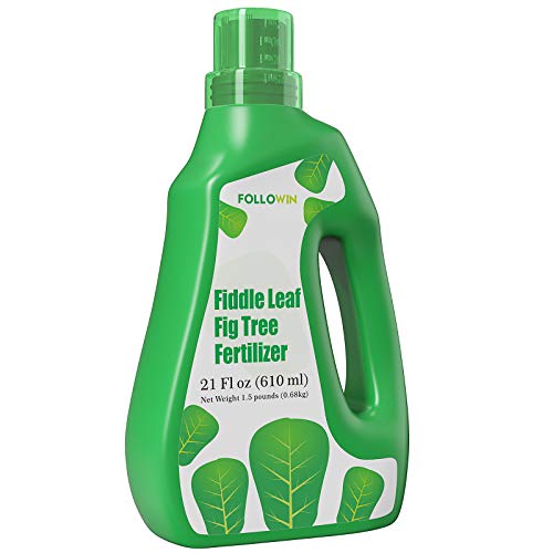 Fiddle Leaf Fig Tree Fertilizer