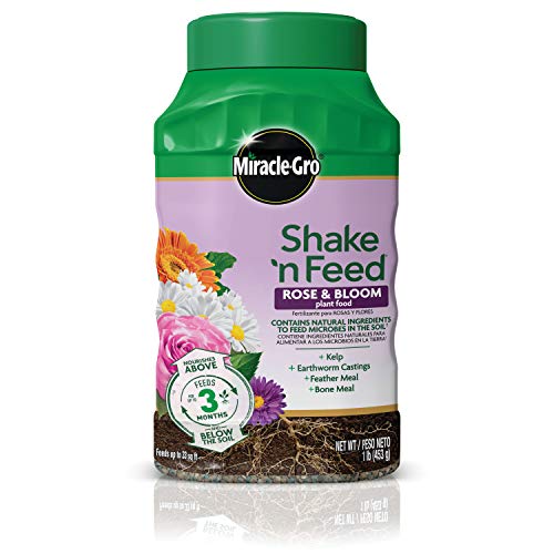 Miracle-Gro Shake 'n Feed Rose and Bloom Plant Food