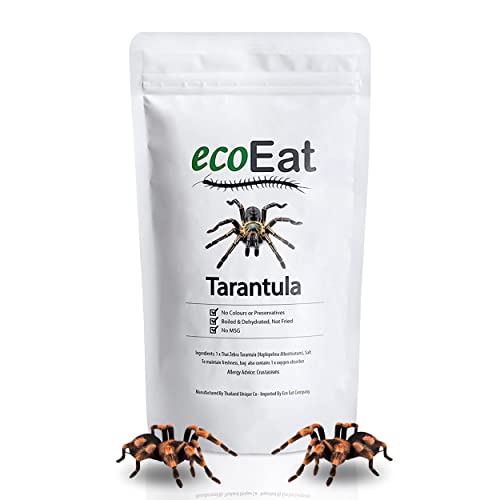 ecoEat Edible Tarantula Spider - 100% Edible Bug