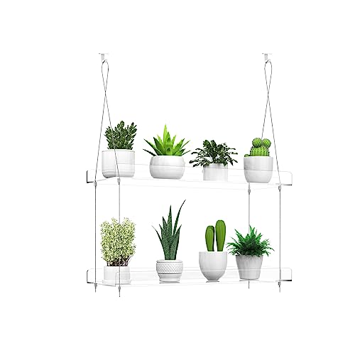 2-Tier Acrylic Window Wall Plant Stand Shelf