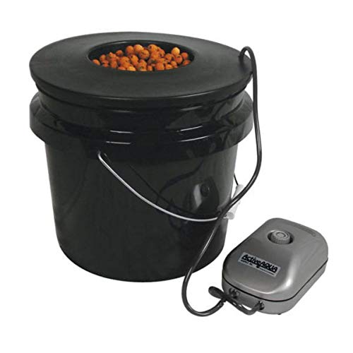 HTGSupply 3.5-Gallon DWC Hydroponic Bucket System