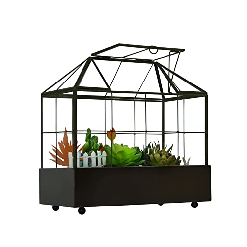 Glass Greenhouse Terrarium with Lid and Tray