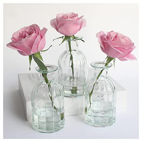 HANIHUA Clear Glass Vase for Flowers Set