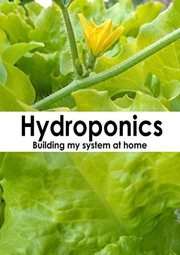 DIY Hydroponics: Setting up Your Home System