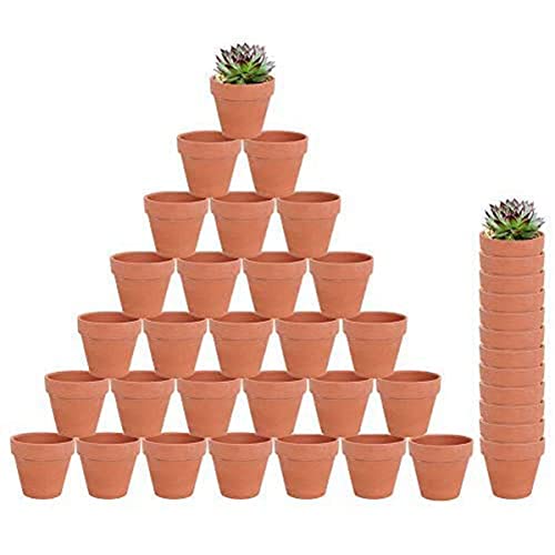 40pcs Small Mini Clay Pots - Perfect for Indoor/Outdoor Plants