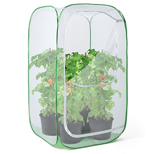 Outdoor Mesh Plant Enclosure