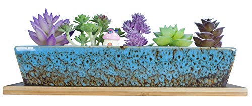 ARTKETTY Large Succulent Pots with Drainage