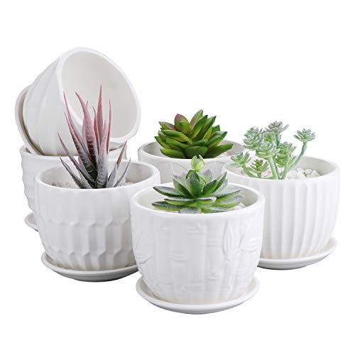 Brajttt 4 Inch Cylinder Ceramic Plant Pots with Connected Saucer (6 Pack, White)