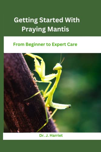 Praying Mantis: From Beginner to Expert Care