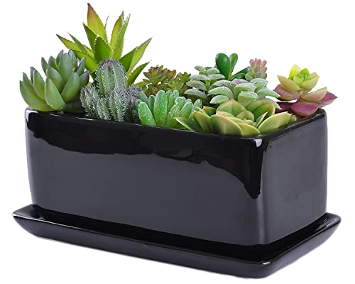 Stylish and Functional Ceramic Succulent Planter Pot - VanEnjoy 10 Inch Black Rectangle