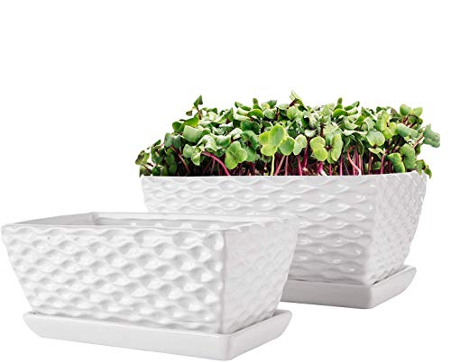 Modern White Ceramic Succulent Pots with Drainage, Set of 2