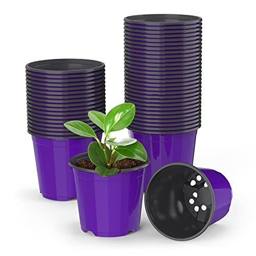 UPMCT 50 Pack Nursery Pots - Versatile and Affordable Planters
