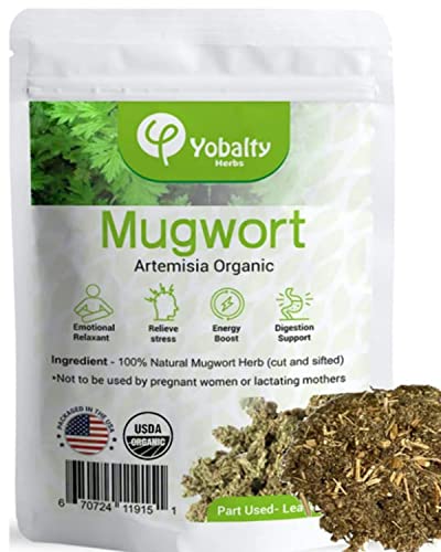 Mugwort Organic Lucid Dream Tea