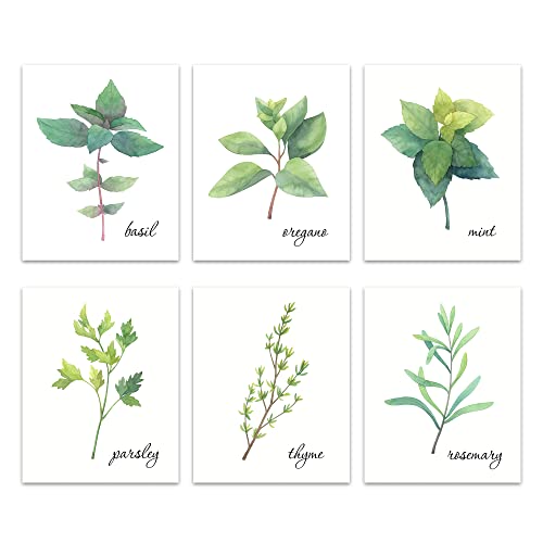 L&O Goods Kitchen Herb Decor Posters & Prints