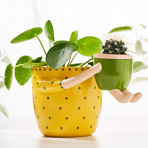Cute Indoor Plant Pots by VIRTUNE