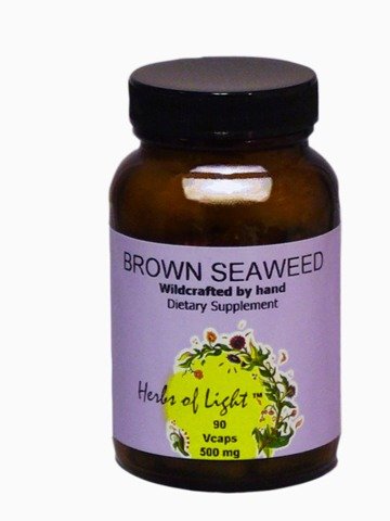 Herbs of Light Brown Seaweed Caps