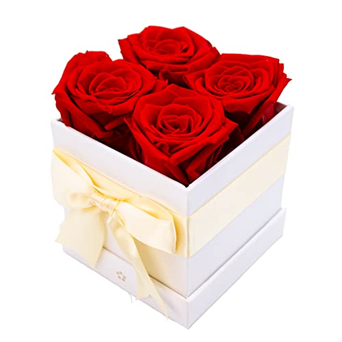 AROMEO Red Roses Gift That Lasts