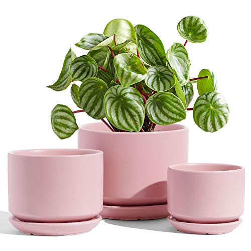 LE TAUCI Ceramic Plant Pots - Set of 3, Pink