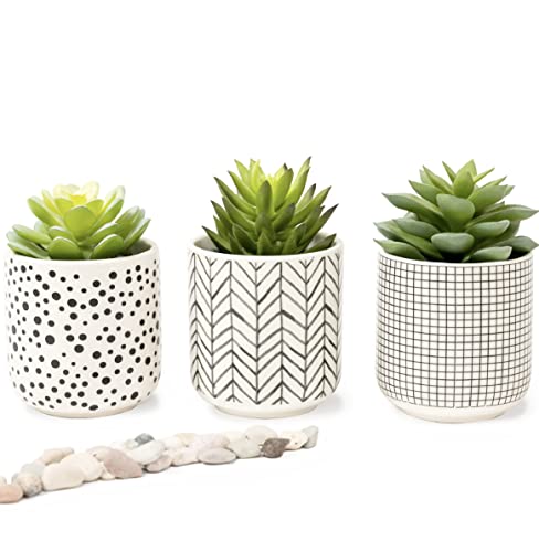 Artificial Succulents in pots | Set of 3 Black and White Ceramic pots