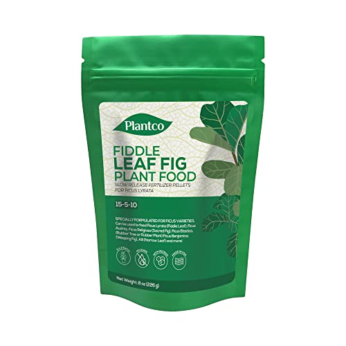 Fiddle Leaf Fig Tree Plant Food