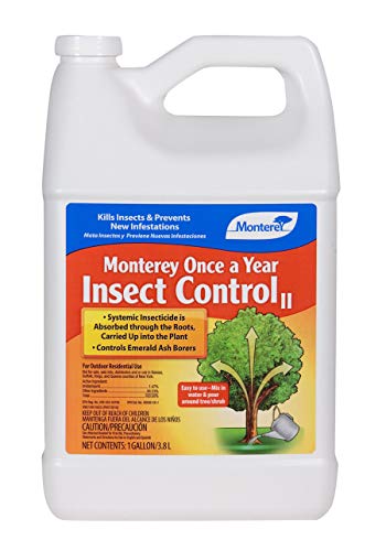 Once a Year Insect Control