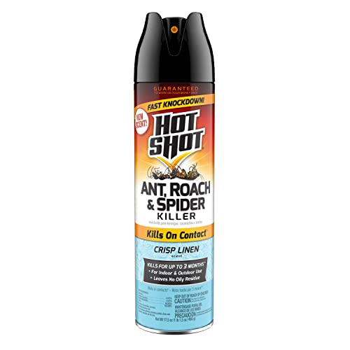 Hot Shot Insecticide Spray