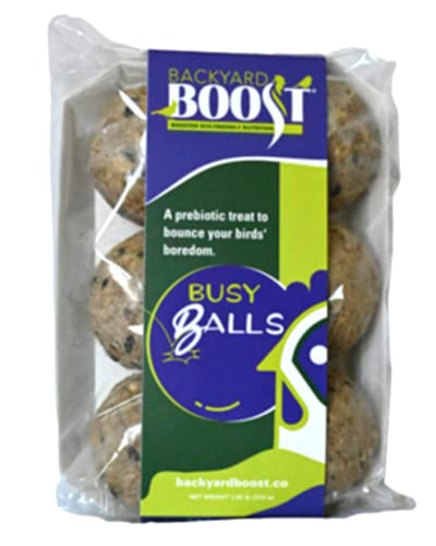 Backyard Boost Busy Balls - Prebiotic Chicken Food Treat