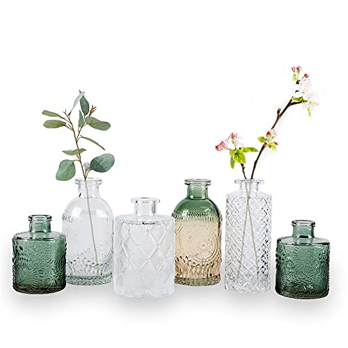 WILDMOS Glass Bud Vase Set of 6