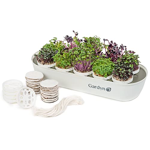 Gardyn Microgreens Growing Kit