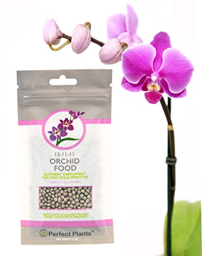 Perfect Plants Orchid Food - Nutrients for a Healthy Phalaenopsis
