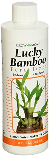 Grow More Lucky Bamboo Fertilizer - Promote Healthy Growth!