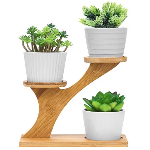 Whonline 3pcs Small Succulent Pots with Bamboo Saucers Stand Holder