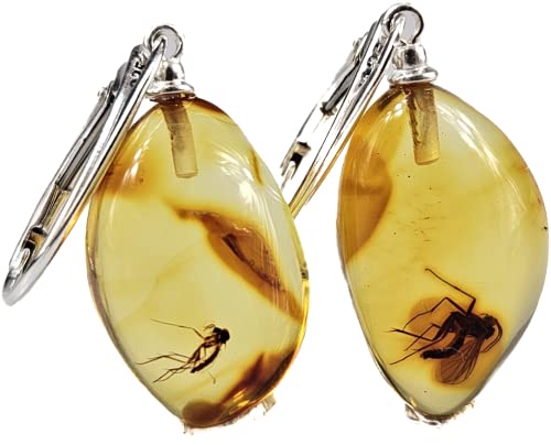 Gorgeous Baltic Amber Earrings