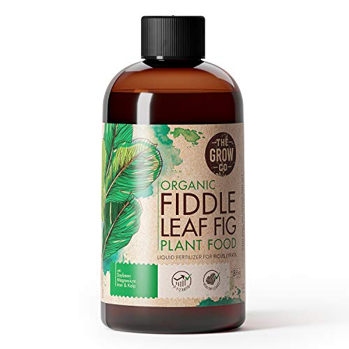 Organic Fiddle Leaf Fig Tree Plant Food