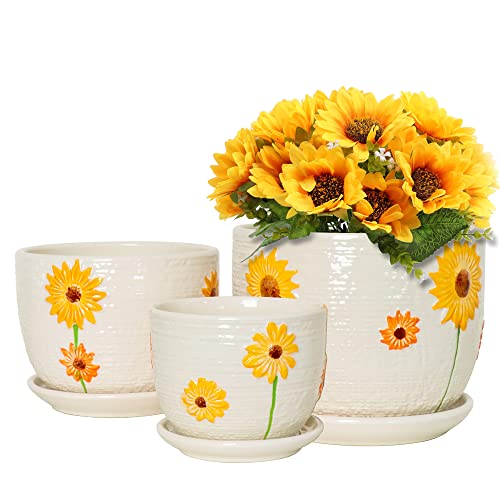 Ton Sin Ceramic Flower Pots Set of 3 for Indoor Plants