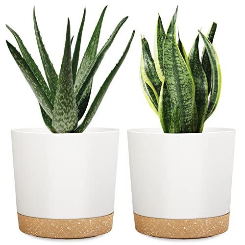 DEMACIYA 8 Inch Plant Pots - 2Pack Planters with Drainage Holes and Saucer